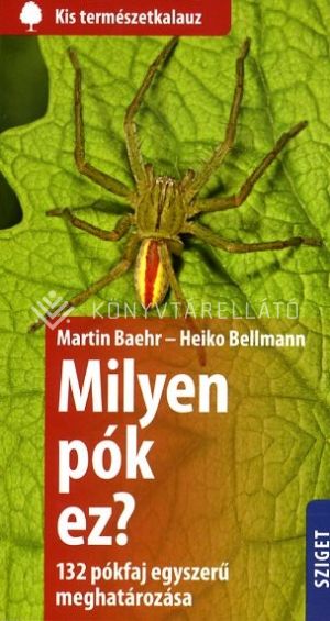 Kép: Milyen pók ez?