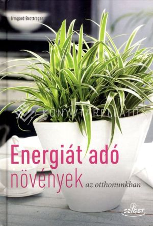 Kép: Energiát adó növények az otthonunkban