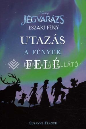 Kép: Északi fény - Utazás a fények felé - Jégvarázs