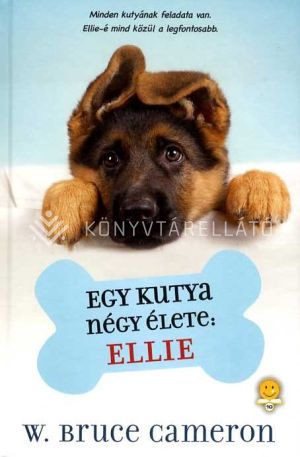 Kép: Egy kutya négy élete: Ellie