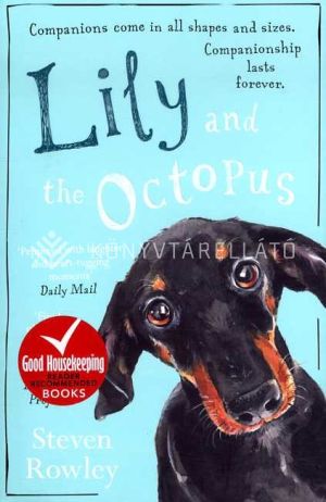 Kép: Lily and The Octopus