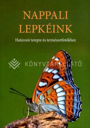 Kép: Nappali lepkéink