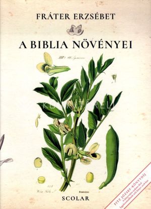 Kép: A Biblia növényei