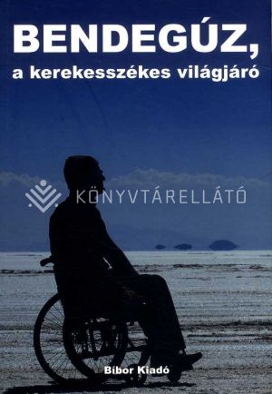 Kép: Bendegúz, a kerekesszékes világjáró