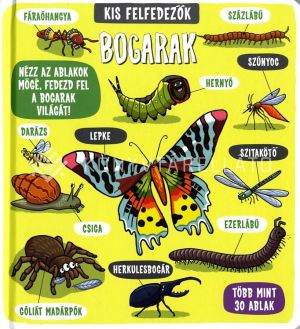 Kép: Kis felfedezők - Bogarak