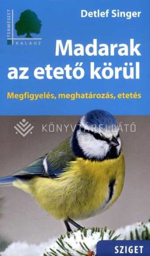 Kép: Madarak az etető körül
