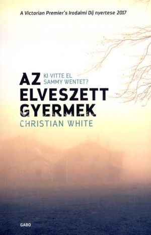 Kép: Az elveszett gyermek