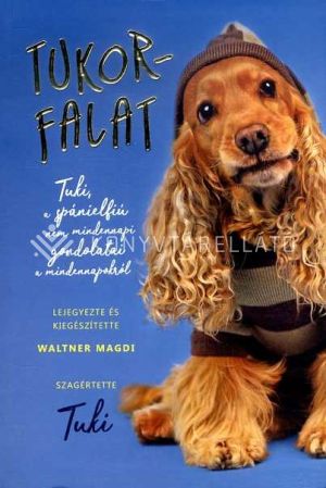 Kép: Tukorfalat