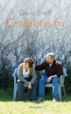 Kép: Csodálatos fiú