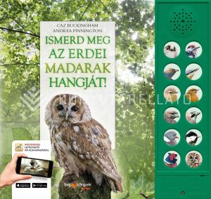 Kép: Ismerd meg az erdei madarak hangját!