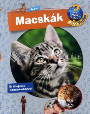 Kép: Macskák - Mit? Miért? Hogyan? Profi tudás