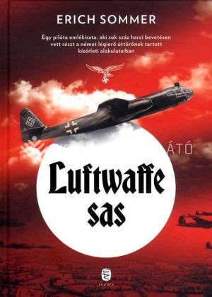 Kép: Luftwaffe sas