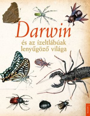 Kép: Darwin és az ízeltlábúak lenyűgöző világa