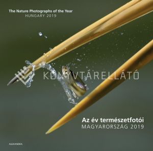 Kép: Az év természetfotói - Magyarország 2019