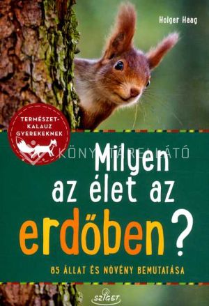 Kép: Milyen az élet az erdőben? - 85 állat és növény bemutatása