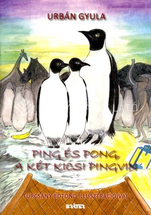 Kép: Ping és Pong a két kicsi pingvin