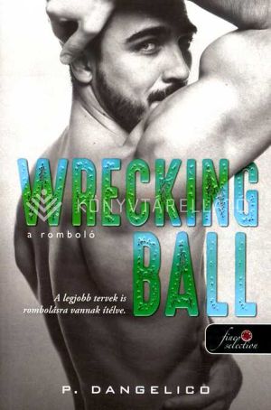Kép: Wrecking Ball - A romboló (Szeretni nehéz 1.)