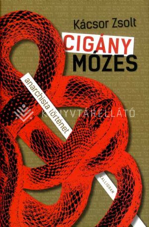 Kép: Cigány Mózes