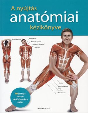 Kép: A nyújtás anatómiai kézikönyve