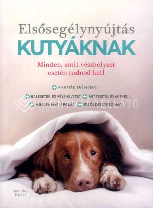 Kép: Elsősegélynyújtás kutyáknak