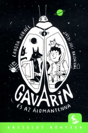 Kép: Gavarin és az álomantenna