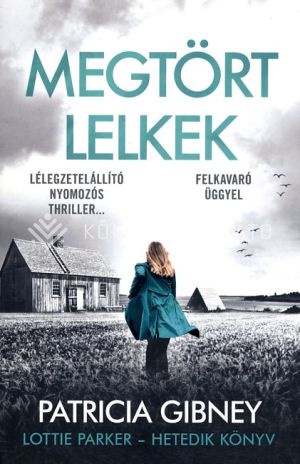 Kép: Megtört lelkek - Lottie Parker 7.