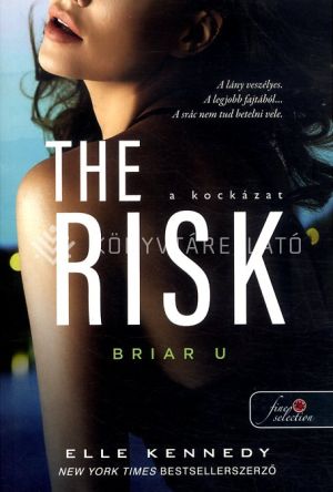 Kép: The Risk - A kockázat (Briar U 2.)