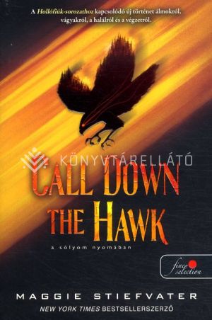 Kép: Call Down the Hawk - A sólyom nyomában (Álmodok-trilógia 1.)