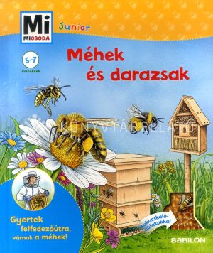 Kép: Méhek és darazsak - Mi MICSODA Junior