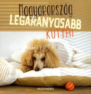 Kép: Magyarország legaranyosabb kutyái - 365 gondolat