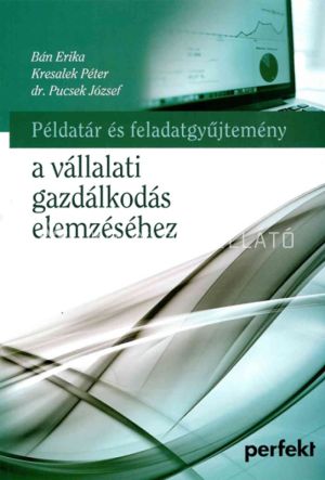 Kép: Példatár és fgy. a vállalati tevék. elem