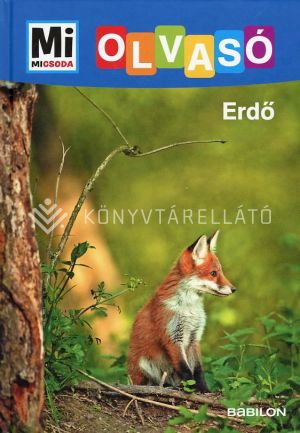 Kép: Mi MICSODA Olvasó - Erdő