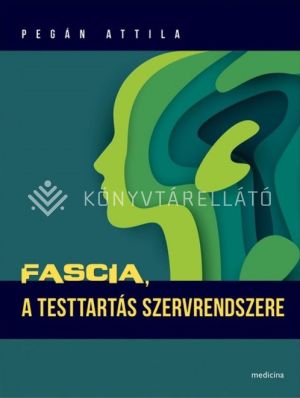 Kép: Fascia, a testtartás szervrendszere