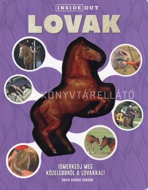 Kép: Lovak - Ismerkedj meg közelebbről a lovakkal!