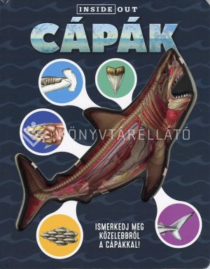 Kép: Cápák - Ismerkedj meg közelebbről a cápákkal!