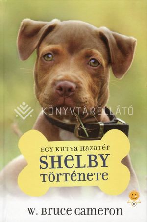 Kép: Egy kutya hazatér - Shelby története