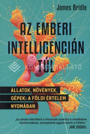 Kép: Az emberi intelligencián túl