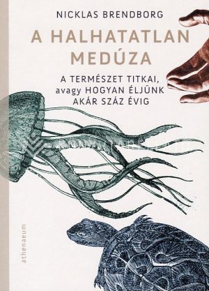 Kép: A halhatatlan medúza - A természet titkai, avagy hogyan éljünk akár száz évig