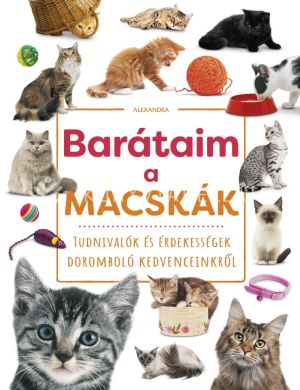 Kép: Barátaim, a macskák