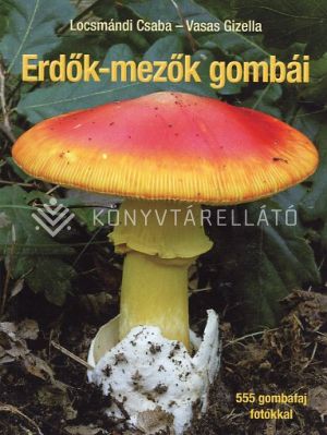 Kép: Erdők-mezők gombái (jav.)