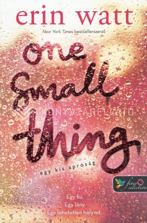 Kép: One small Thing - Egy kis apróság