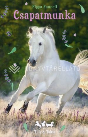 Kép: Tilly és Táltos - Csapatmunka - Tilly lovas történetei