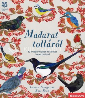 Kép: Madarat tolláról - 10 madármodell részletes ismertetővel