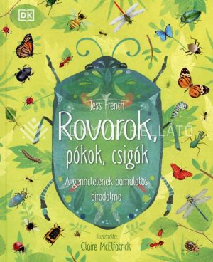 Kép: Rovarok, pókok, csigák