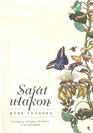 Kép: Saját utakon