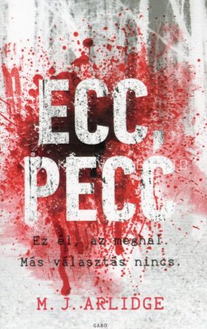 Kép: Ecc, pecc - Helen Grace 1.