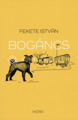 Kép: Bogáncs