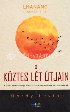 Kép: A köztes lét útjain