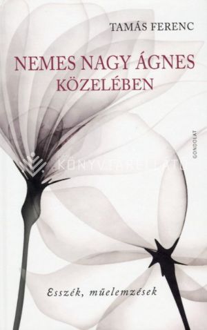 Kép: Nemes Nagy Ágnes közelében - Esszék, műelemzések