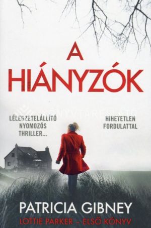 Kép: A hiányzók - Lottie Parker 1.